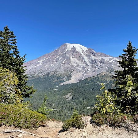 New Modern Cabin! 5Mi To Mt Rainier National Park! Hot Tub & Wifi Ashford Eksteriør billede